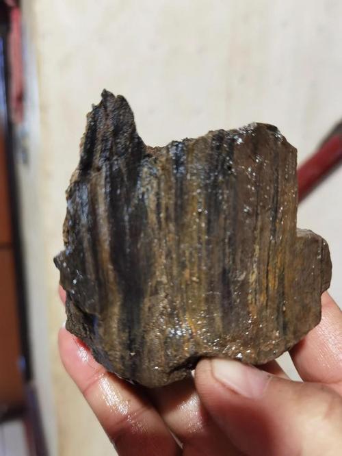 赏析美石水冲硅化木