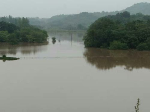 依稀故乡梦 不了浠水情