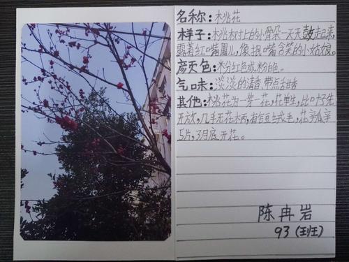 其它 《我的植物朋友》记录卡作品 写美篇 ——《大林寺桃花》白居易