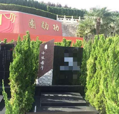 大型陵园一般多少钱_西安霸陵墓园新区