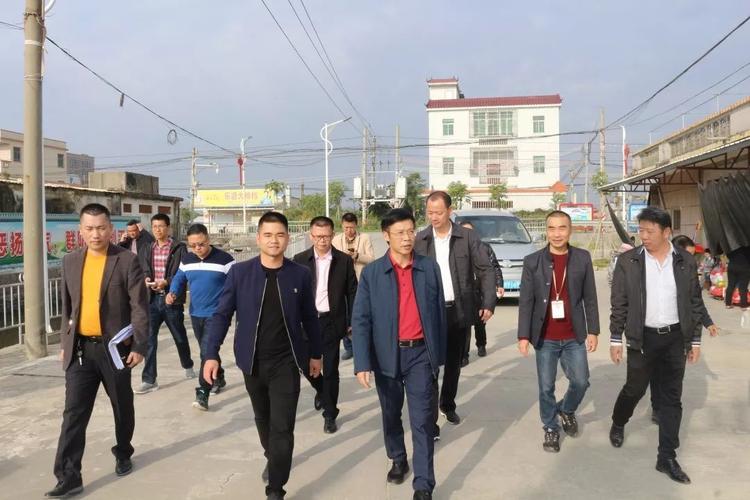 潮南区委副书记代区长吴楚斌带队调研脱贫攻坚和新农村建设工作