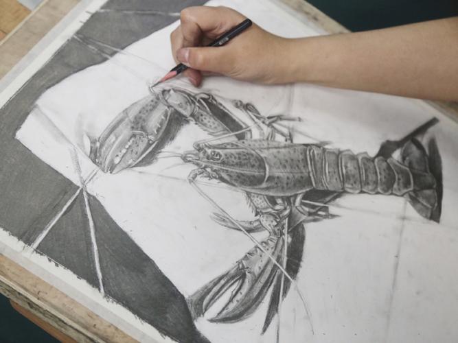 小龙虾_素描_我爱小龙虾_文化_绘画