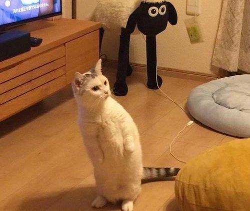 "   "我错了嘛,下次不敢了,你就让我上车吧"