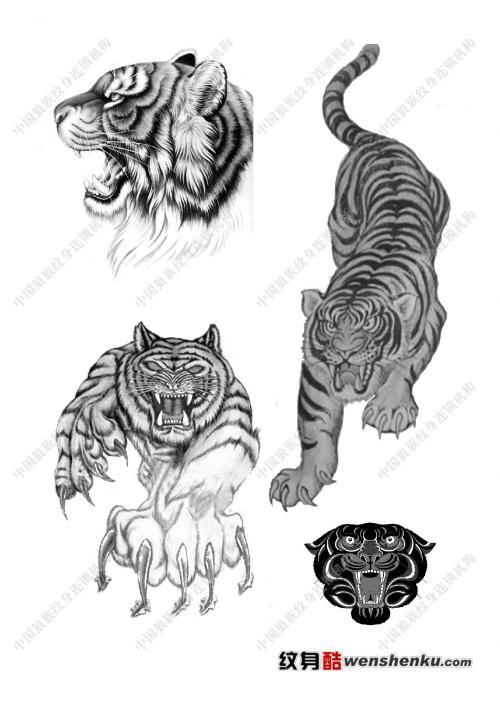 老虎纹身图片-纹身图案大全-武汉纹身图案大全 狼虎豹胸部霸气的上山