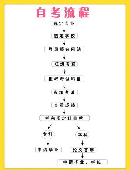 一分钟搞懂自考全流程