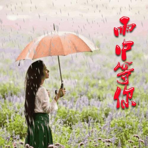 等风等雨我等你
