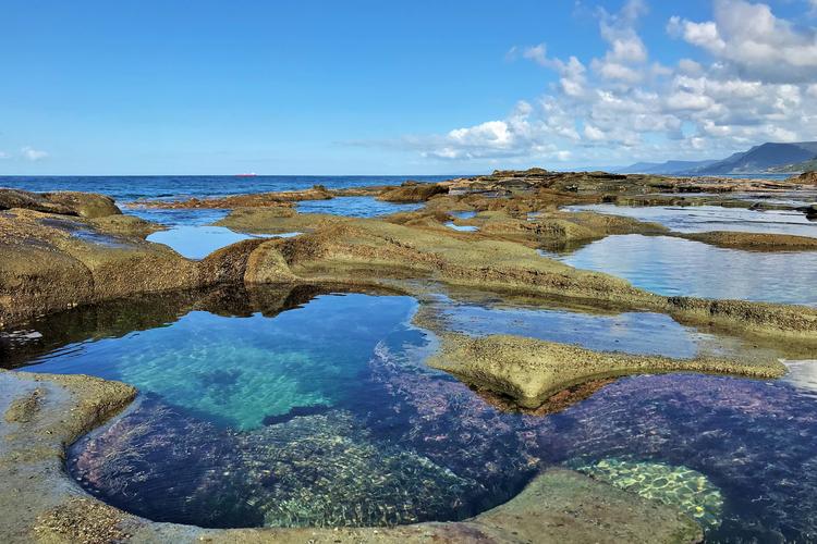 悉尼皇家国家公园巡礼