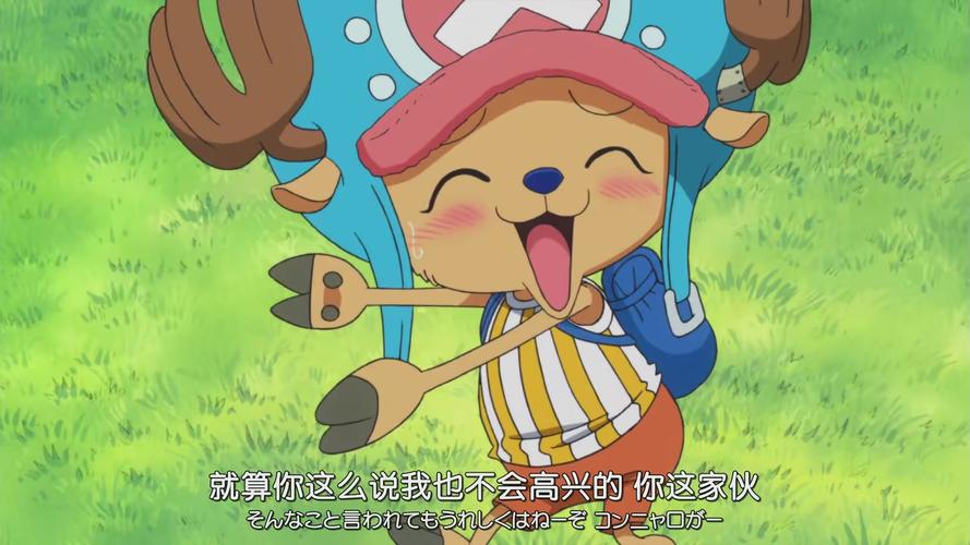 海贼王草帽海贼团心疼乔巴我更心疼乌索普