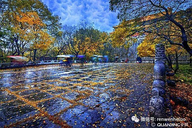河洛美文赏析暖暖秋雨夜