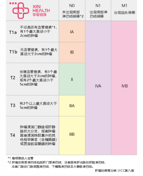 2)肝功能child-pugh分级
