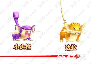 口袋妖怪3d小拉达进化流程详解