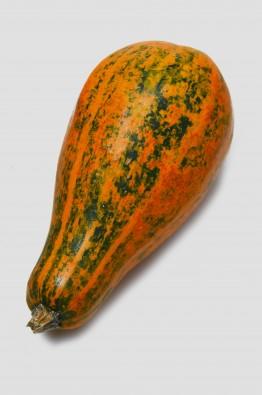 一个南瓜图片大全共12张