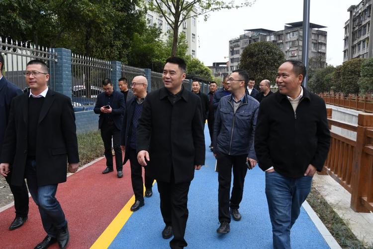 青神县委书记肖巍率队调研城市水环境整治等工作