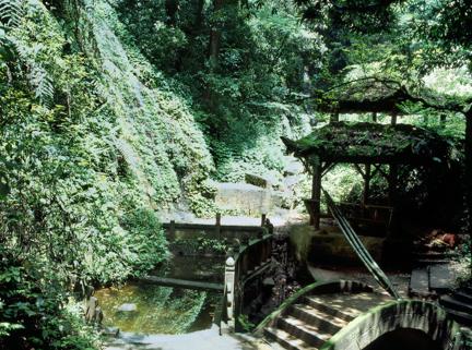 一定要去青城前山,后山就只是一个公园.真正的风景在前山