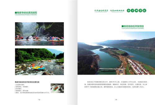 亭子湖景区招商手册定稿曲-008.jpg