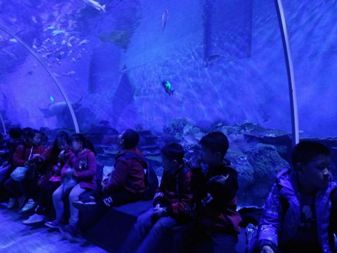 璧山青山小学2.2班汉海海洋公园研学旅行