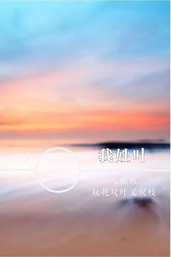 我姓叶
