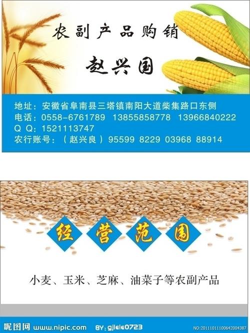 农副产品名片 小麦名片 玉米名片