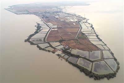 航拍泗洪县龙集镇东嘴渔村 水乡风景美如画