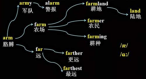 英语思维导图速记初中1600词汇——核心突击初中大纲1600词汇,以单词