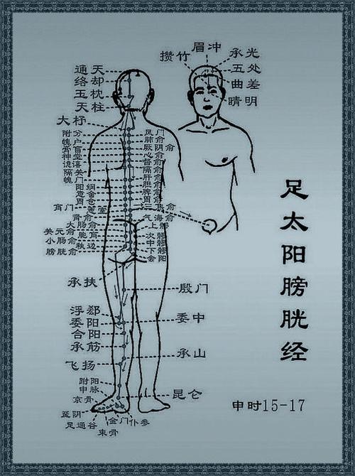 运行人体宝贵体液的水官——足太阳膀胱经