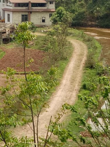 富顺县飞龙镇跳墩村公路