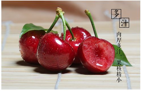 现货2016年烟台大樱桃特级美早3斤装顺丰全国包邮基地