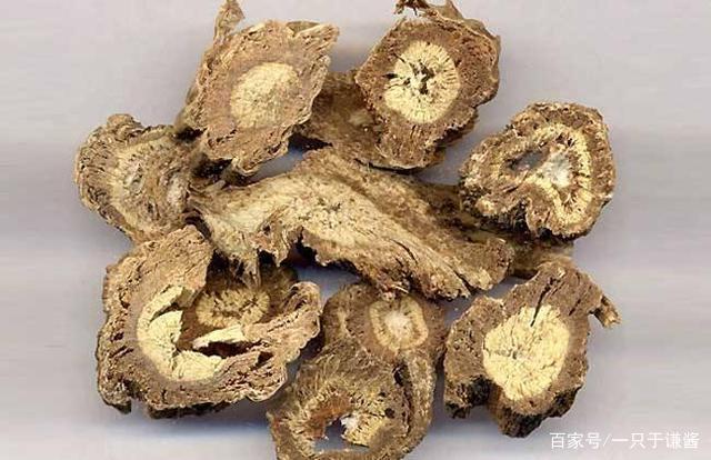 羌活是伞形科,羌活属多年生草本植物,高可达120厘米,根茎粗壮,茎直立