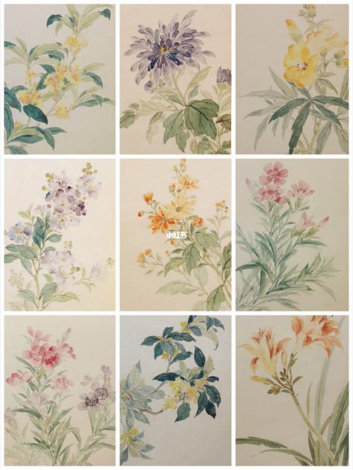 国画没骨花卉_国画_花卉_文化_绘画