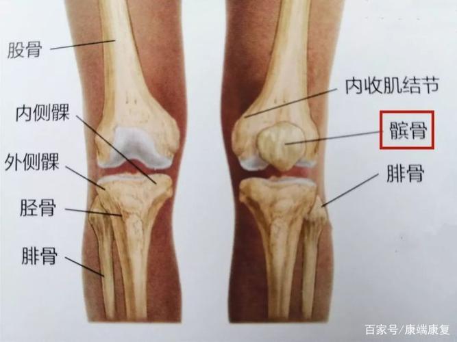 髌骨周围疼痛有捻发音可能是髌骨关节疼痛综合征在作怪