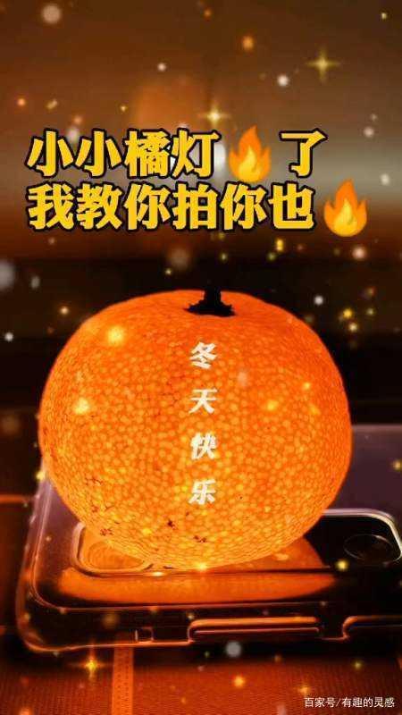 爆火的橘子灯,不要浪费了,橘子被你们玩涨价了