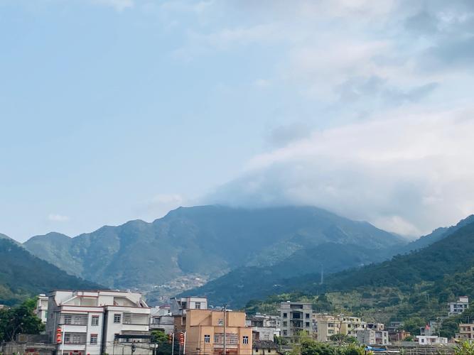 高州市深镇镇造贤村绿美古树