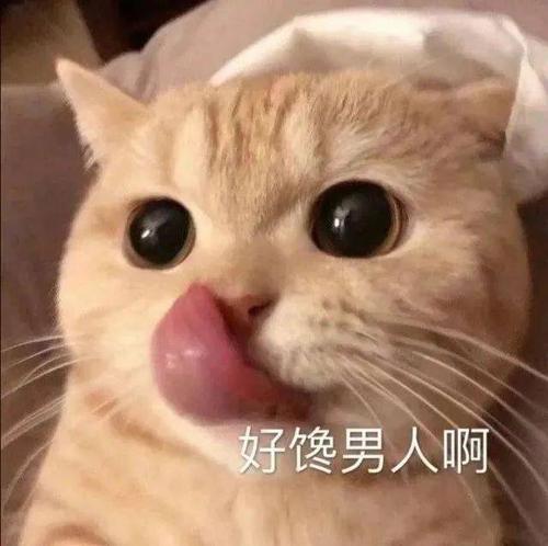 大家好,我是多妹()" #图片源自网络 侵联删# 微信小程序搜 【闪萌表情