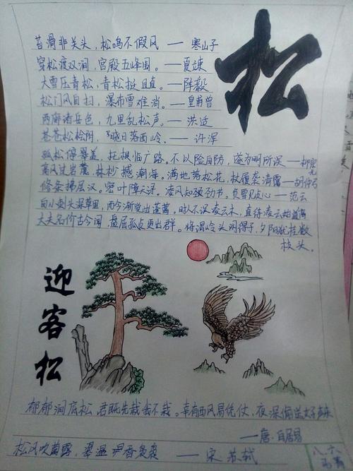 八年级六班以"松"为主题的手抄报