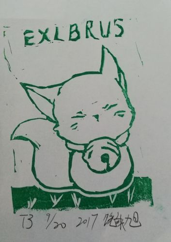 "纸上宝石"——藏书票 北外附属外国语学校小学部 学生优秀作品(2015