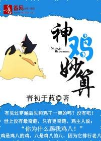 神鸡妙算