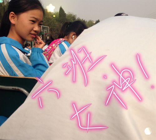 天津芦台五中2015届九年级六班