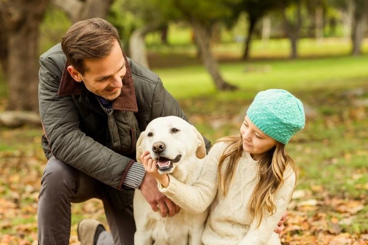 生活 日常 怎么拍宠物短视频,宠物短视频怎么找题材