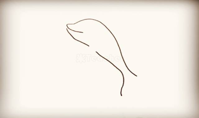 【 简笔画 第60期】海洋系列简笔画,海草和小鱼,海豚