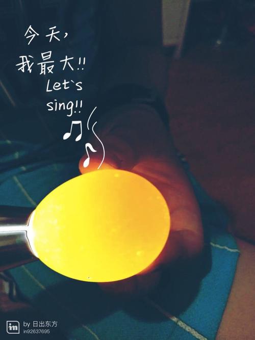 孵小鸡观察记录