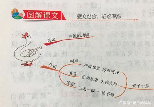 孩子提前学习备课:四年级下4单元《母鸡》《白鹅》,轻松学语文