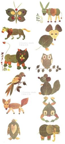 创意工坊:秋天就快要过去了,落叶除了悲秋之外,还可以这么玩.