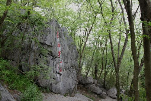 长征第一山～云石山现距瑞金市区19公里,现距麻地村18公里.