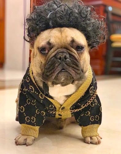 宠物狗狗法斗巴哥金毛搞笑假发泰迪柯基小公主辫子卖萌头饰变身装