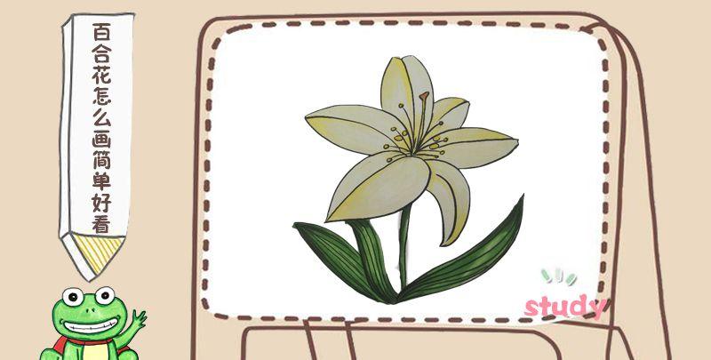 百合花怎么画简单好看