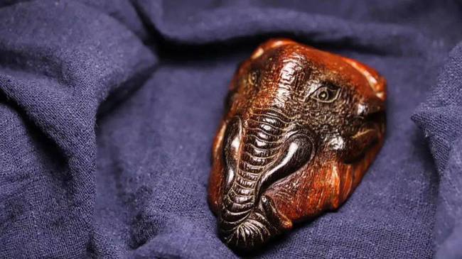 今年文玩收藏界热炒的披毛犀角,我有几个疑问?|犀牛角