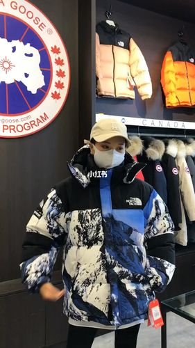 tnf北面联名雪山款羽绒服 大火97的款_羽绒服_日常穿搭_时尚_穿搭