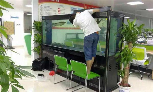 鱼缸怎么清洗鱼缸怎么清洗边角