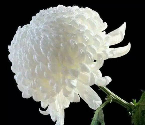 爷爷,您在天堂安好,一路走好! ——沉痛悼念爷爷祭文