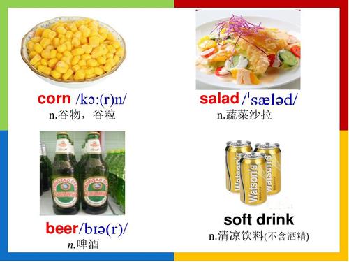 corn n.谷物,谷粒 salad n.蔬菜沙拉 beer n.啤酒 soft drink n.
